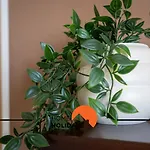 #292 Sea View Terrace & Relax Lägenhet Portimão